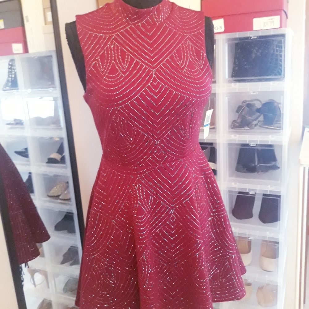 ❤NWT NEVER WORN Cranberry Dress size 9❤